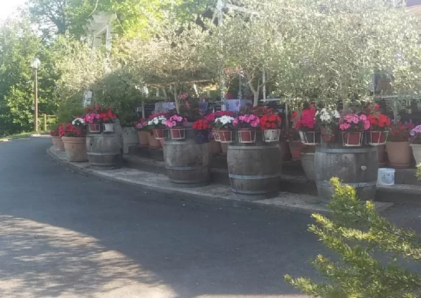 Restaurant Le Lac de Luc