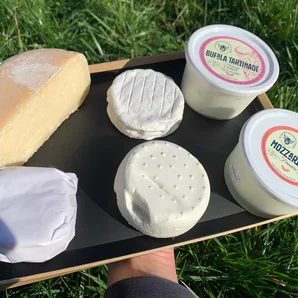 Le champ des buflonnes