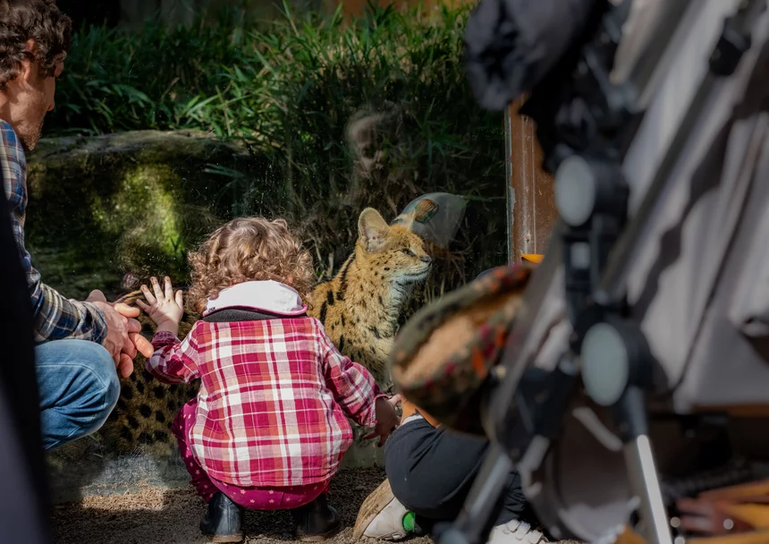 Zoo d'Asson