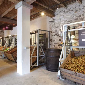 Domaine Darmandieu