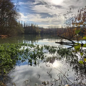 Lac de Saint Cricq du Gave
