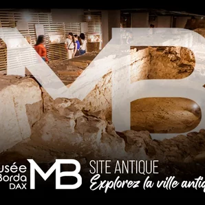 Musée de Borda et Site antique