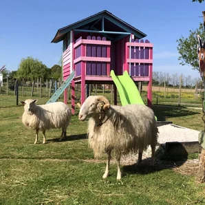 La petite ferme de Pouillon 