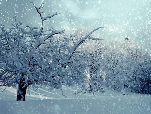 Spectacle : Contes de l’hiver