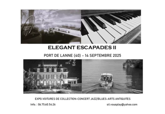 Elegant Escapades II