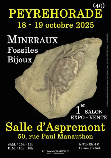 Salon des minéraux fossiles et bijoux