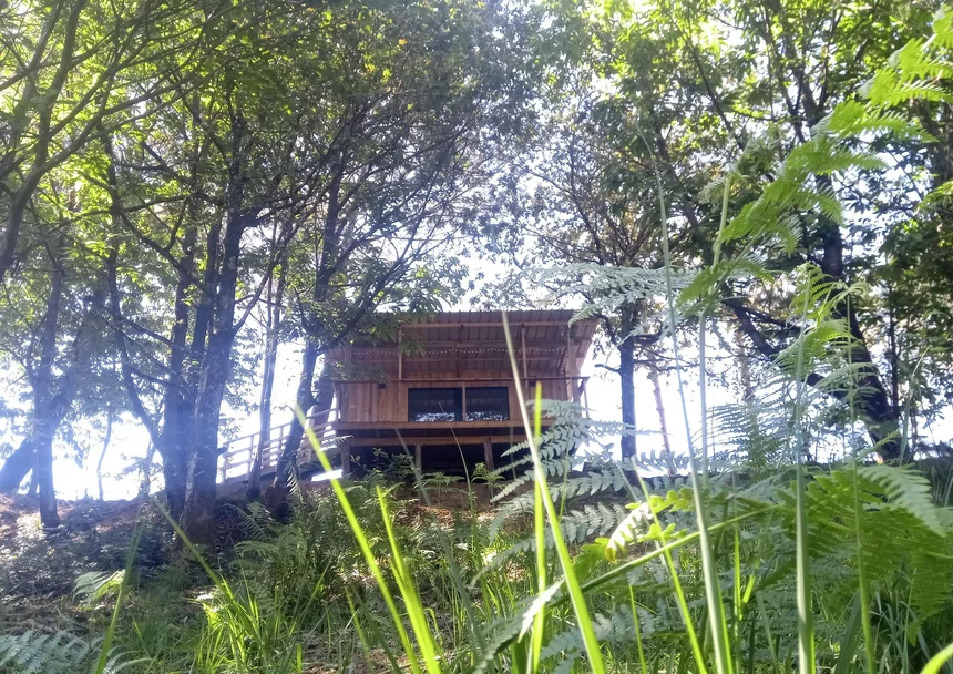 Les Cabanes de Brocas - Cabane 4
