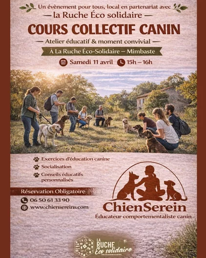 Cours collectif canin