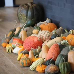Le Musée du fruit