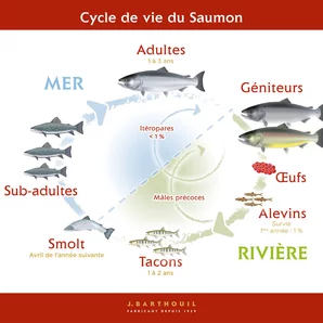 La Maison du Saumon