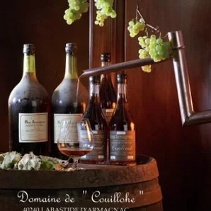 Domaine de Couillohe