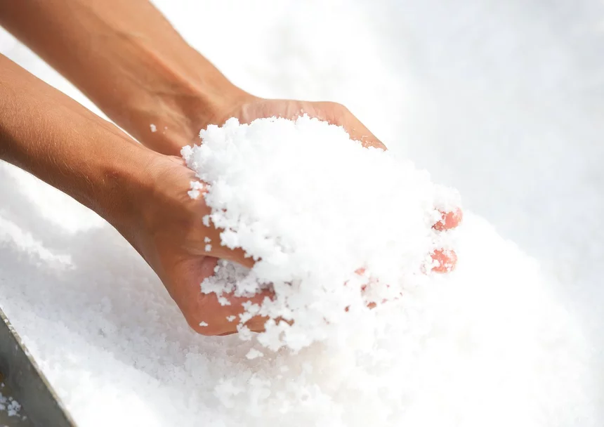 Le sel de Salies-de-Béarn