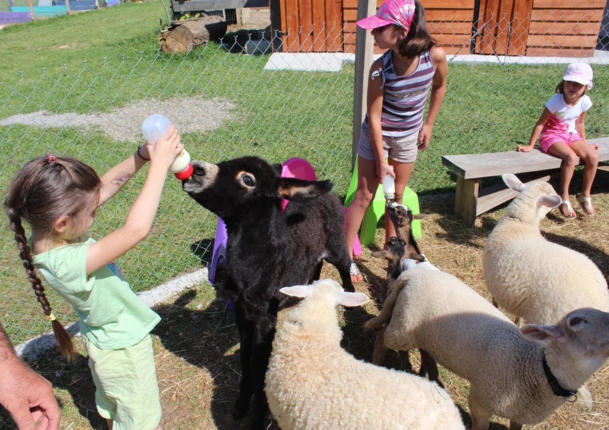 La petite ferme de Pouillon 