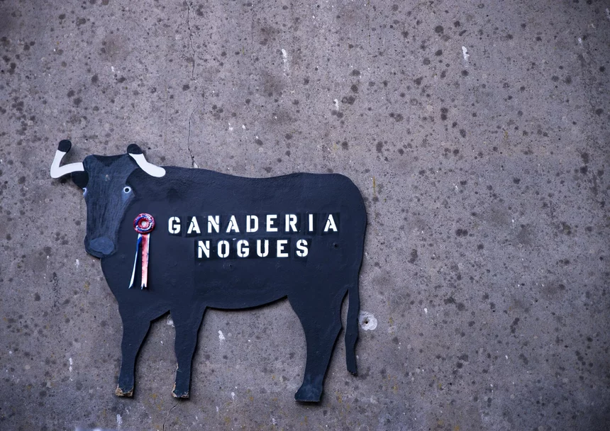 Ganaderia Nogues