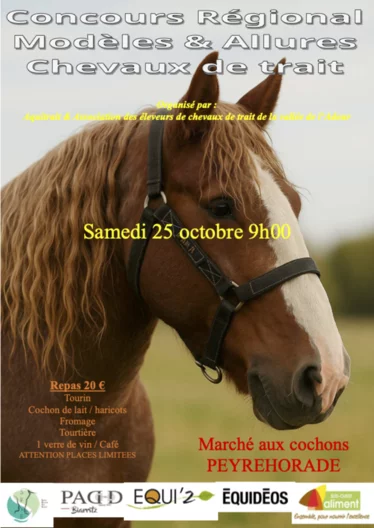 Concours régional modèles et allures chevaux de trait