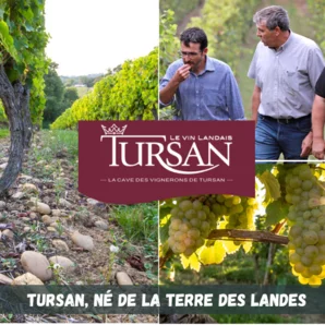 Cave des vignerons de Tursan