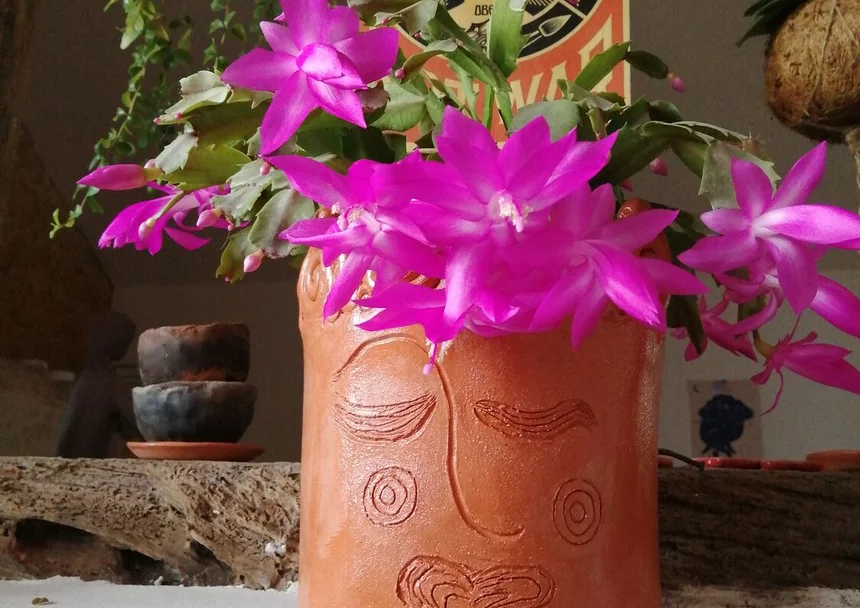 Atelier Poterie Barbotine and Be(e)