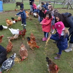La petite ferme de Pouillon 