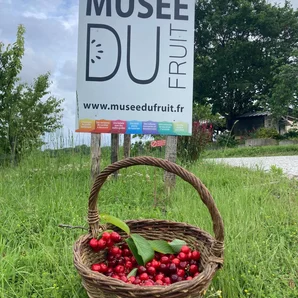 Le Musée du fruit