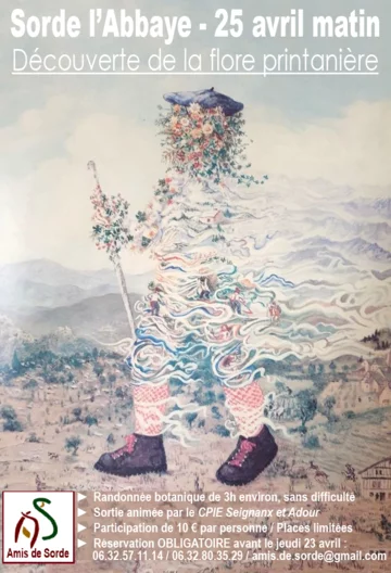 À la découverte de la flore printanière